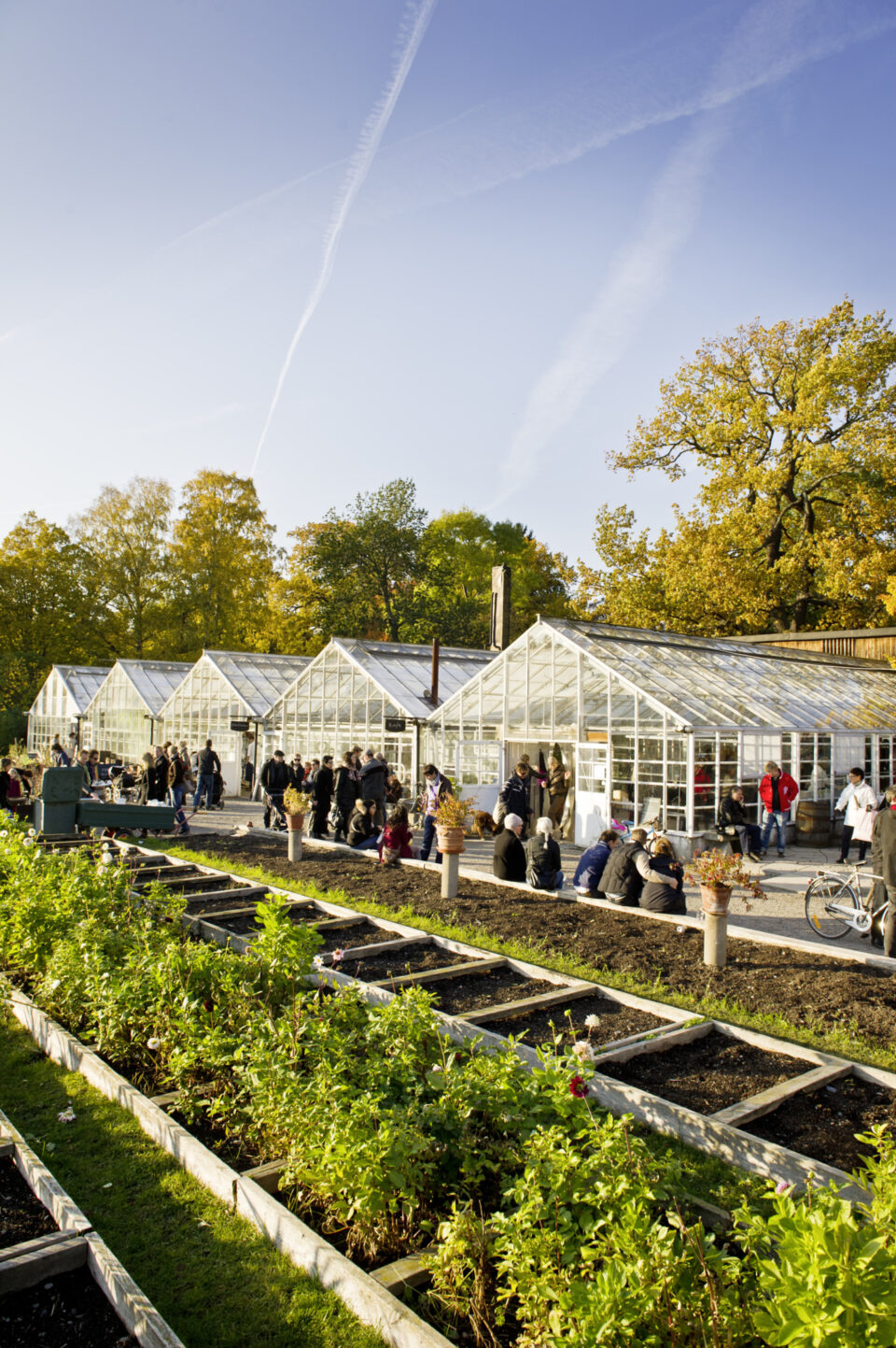 Rosendals trädgård