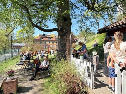 cafe lilla gläntan uteservering